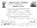 Great Uncle James Doolin's Baptismal Certificate