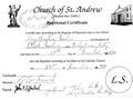 Great Aunt Mary Doolin's Baptismal Certificate