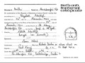 Nanny Doolin's Baptismal Certificate